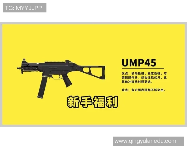 从零起步到高手之路:和平精英耐力全方位攻略与技巧分享 从零起步到高手之路:和平精英耐力全方位攻略与技巧分享