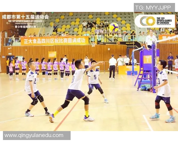 成都排球队技术分析与战术创新的深度探讨与展望