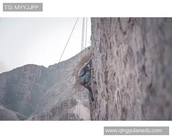 深圳攀岩队速度对比独家深度解析与训练策略探讨